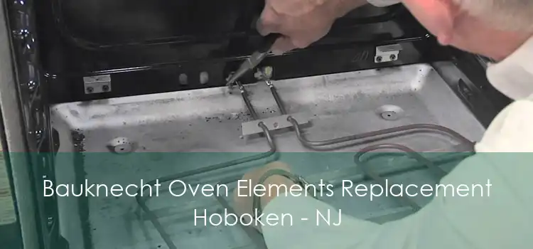 Bauknecht Oven Elements Replacement Hoboken - NJ