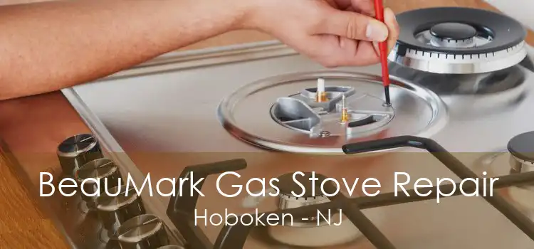 BeauMark Gas Stove Repair Hoboken - NJ