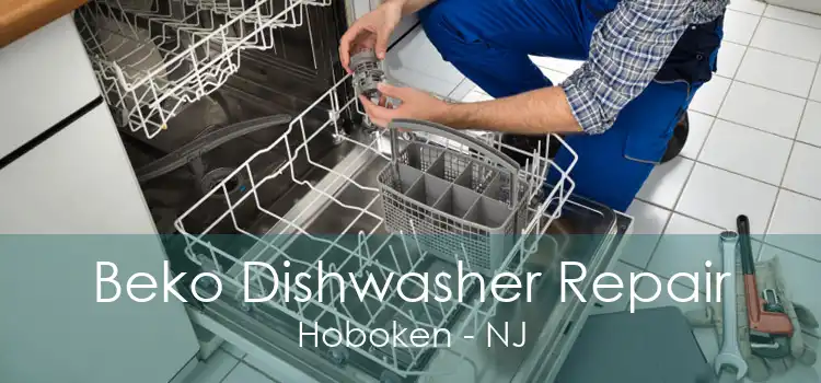 Beko Dishwasher Repair Hoboken - NJ