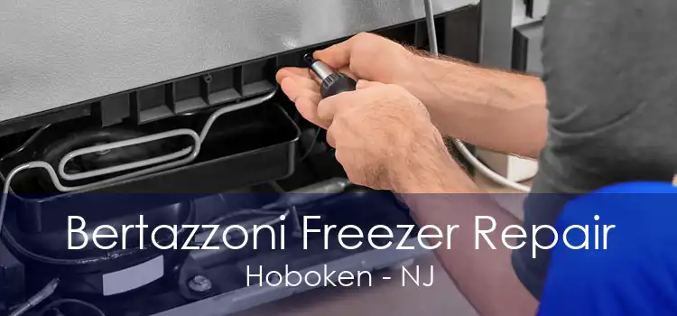 Bertazzoni Freezer Repair Hoboken - NJ