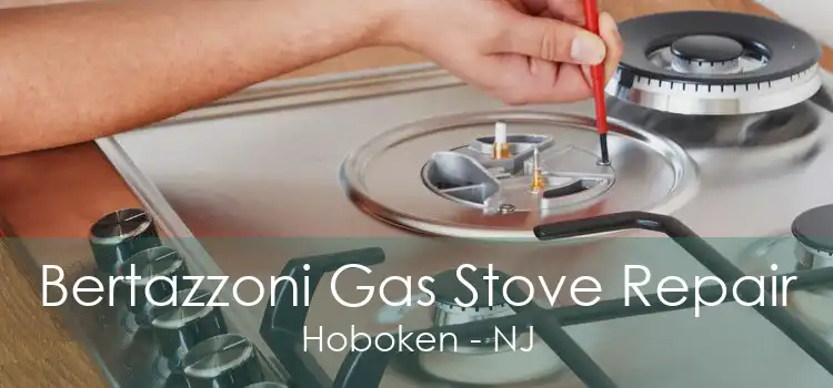 Bertazzoni Gas Stove Repair Hoboken - NJ