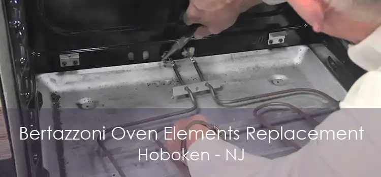 Bertazzoni Oven Elements Replacement Hoboken - NJ