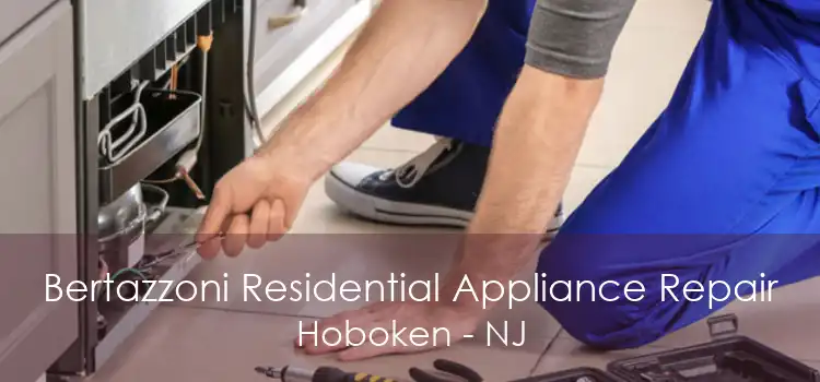 Bertazzoni Residential Appliance Repair Hoboken - NJ