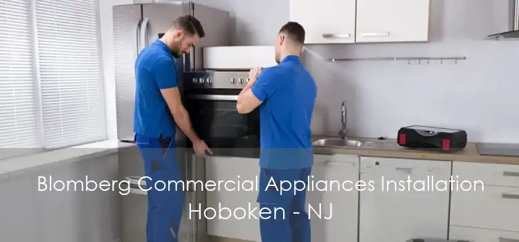 Blomberg Commercial Appliances Installation Hoboken - NJ