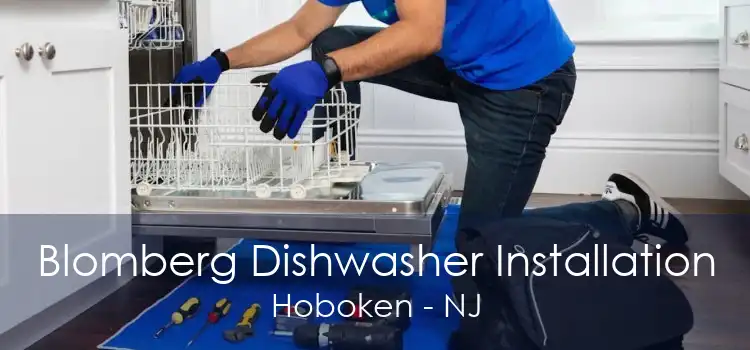 Blomberg Dishwasher Installation Hoboken - NJ