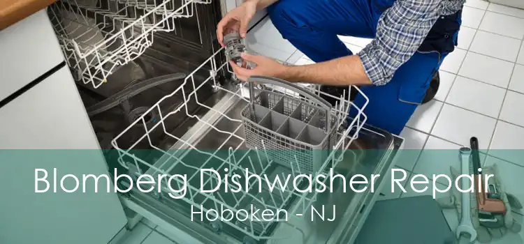 Blomberg Dishwasher Repair Hoboken - NJ