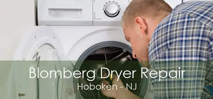 Blomberg Dryer Repair Hoboken - NJ