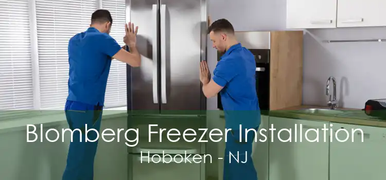 Blomberg Freezer Installation Hoboken - NJ