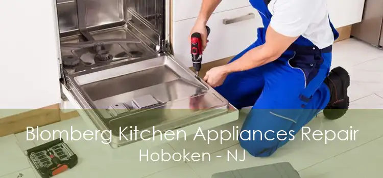 Blomberg Kitchen Appliances Repair Hoboken - NJ