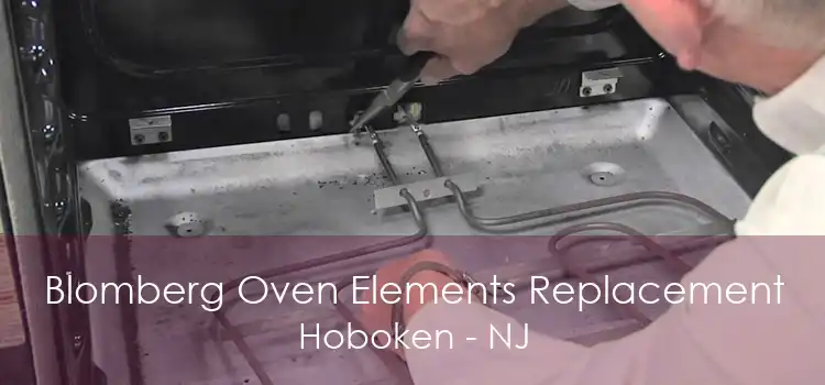 Blomberg Oven Elements Replacement Hoboken - NJ