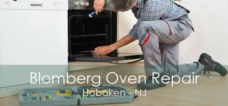 Blomberg Oven Repair Hoboken - NJ