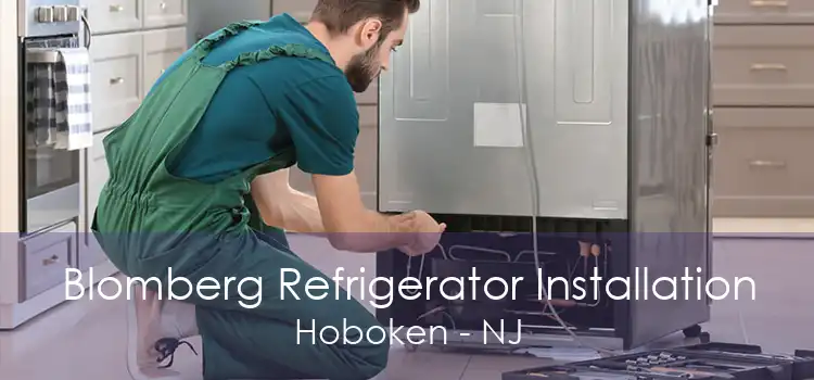 Blomberg Refrigerator Installation Hoboken - NJ