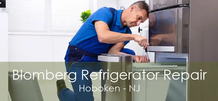 Blomberg Refrigerator Repair Hoboken - NJ