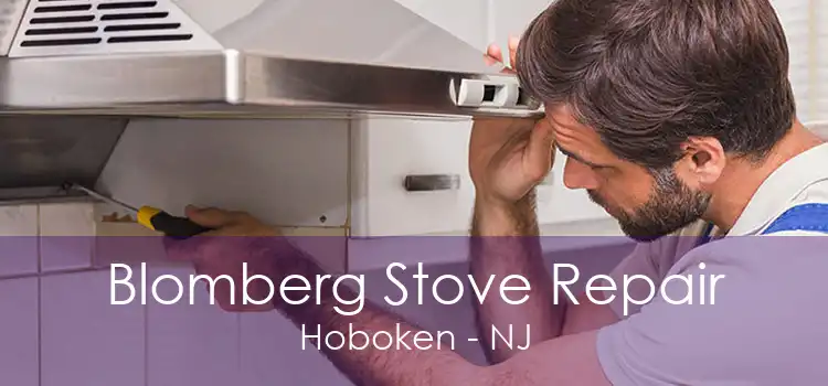 Blomberg Stove Repair Hoboken - NJ