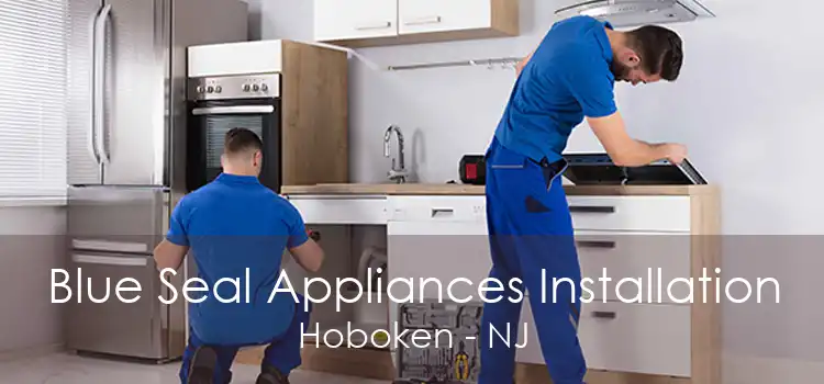 Blue Seal Appliances Installation Hoboken - NJ