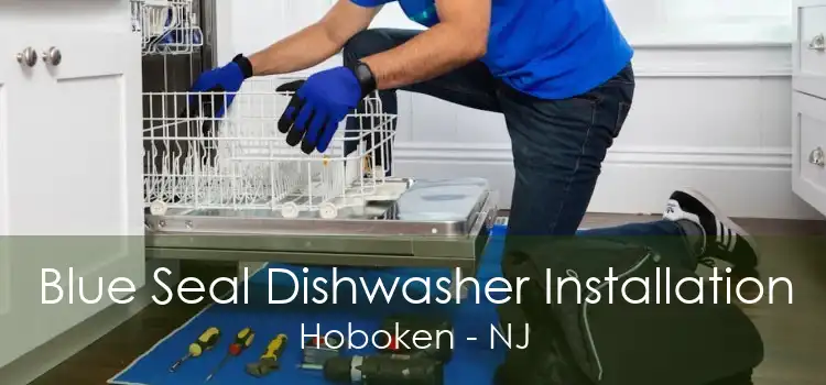 Blue Seal Dishwasher Installation Hoboken - NJ