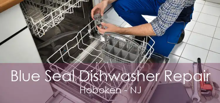 Blue Seal Dishwasher Repair Hoboken - NJ