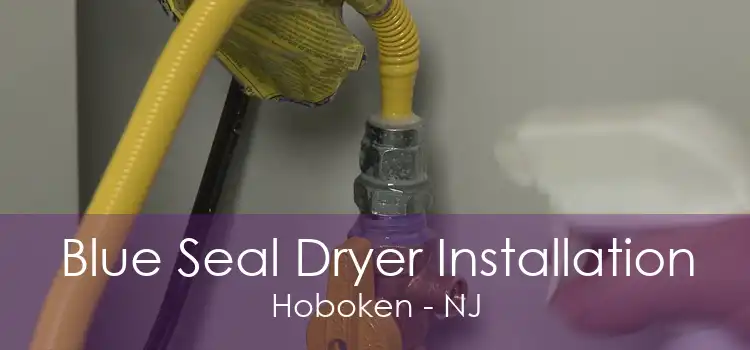 Blue Seal Dryer Installation Hoboken - NJ