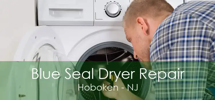 Blue Seal Dryer Repair Hoboken - NJ