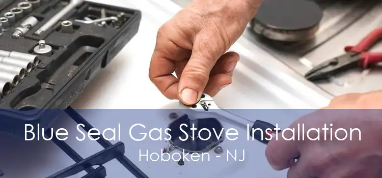 Blue Seal Gas Stove Installation Hoboken - NJ