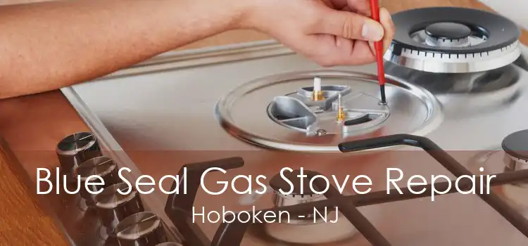 Blue Seal Gas Stove Repair Hoboken - NJ