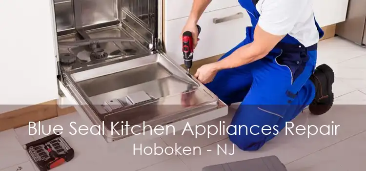 Blue Seal Kitchen Appliances Repair Hoboken - NJ