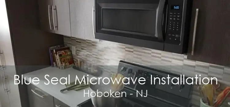 Blue Seal Microwave Installation Hoboken - NJ