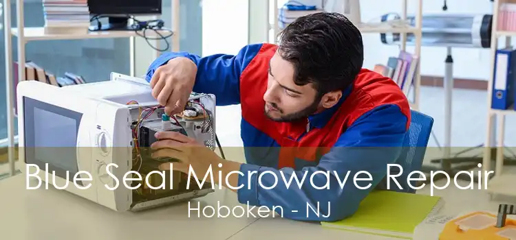 Blue Seal Microwave Repair Hoboken - NJ