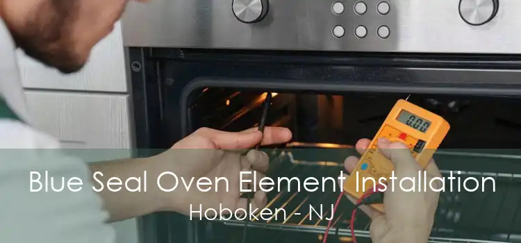 Blue Seal Oven Element Installation Hoboken - NJ