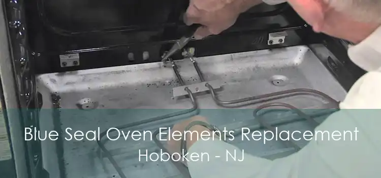 Blue Seal Oven Elements Replacement Hoboken - NJ