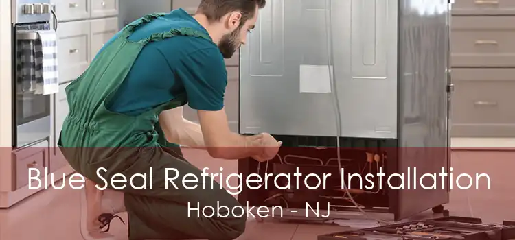 Blue Seal Refrigerator Installation Hoboken - NJ