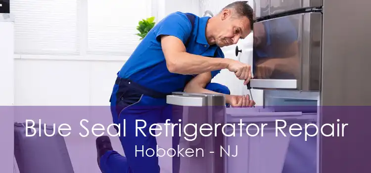 Blue Seal Refrigerator Repair Hoboken - NJ