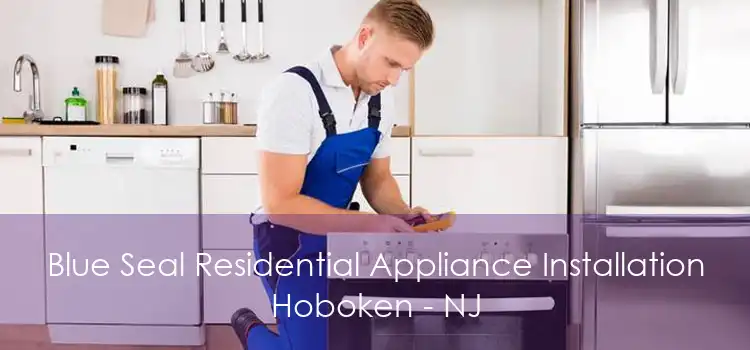 Blue Seal Residential Appliance Installation Hoboken - NJ