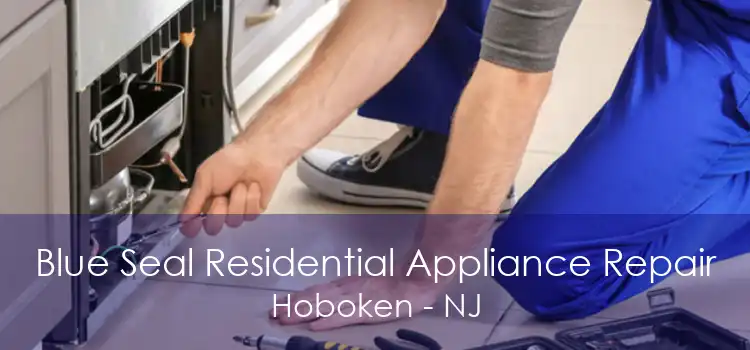 Blue Seal Residential Appliance Repair Hoboken - NJ