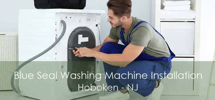 Blue Seal Washing Machine Installation Hoboken - NJ