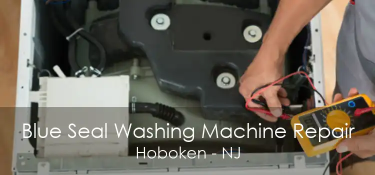 Blue Seal Washing Machine Repair Hoboken - NJ