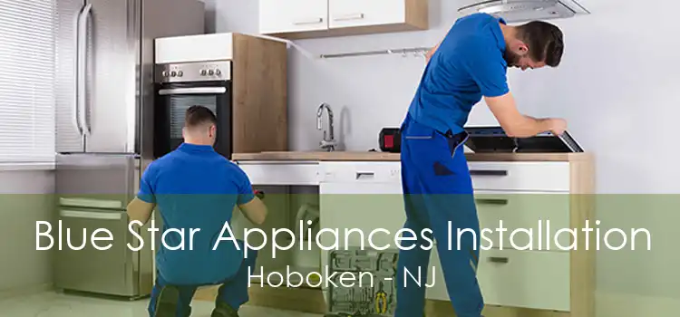 Blue Star Appliances Installation Hoboken - NJ