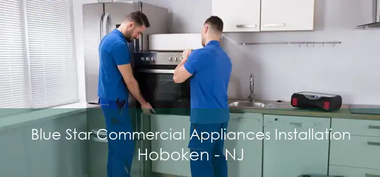 Blue Star Commercial Appliances Installation Hoboken - NJ