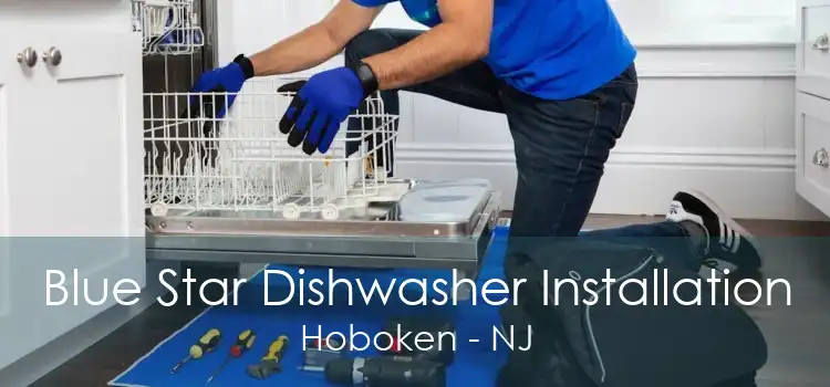 Blue Star Dishwasher Installation Hoboken - NJ