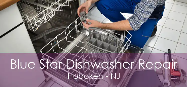 Blue Star Dishwasher Repair Hoboken - NJ