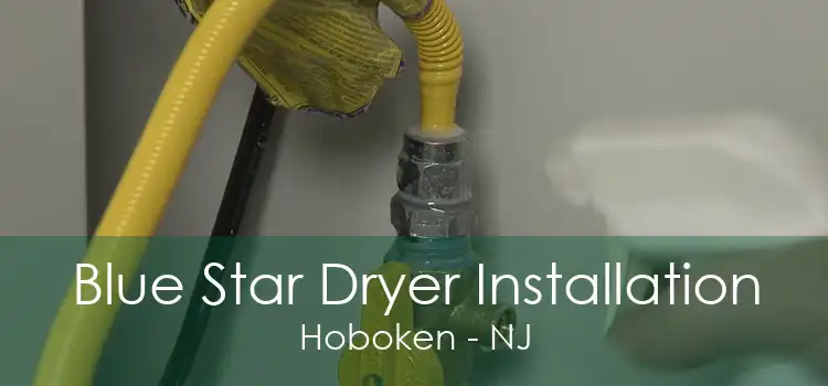 Blue Star Dryer Installation Hoboken - NJ