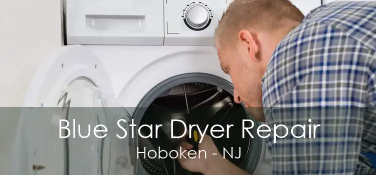 Blue Star Dryer Repair Hoboken - NJ