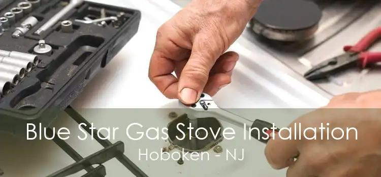 Blue Star Gas Stove Installation Hoboken - NJ