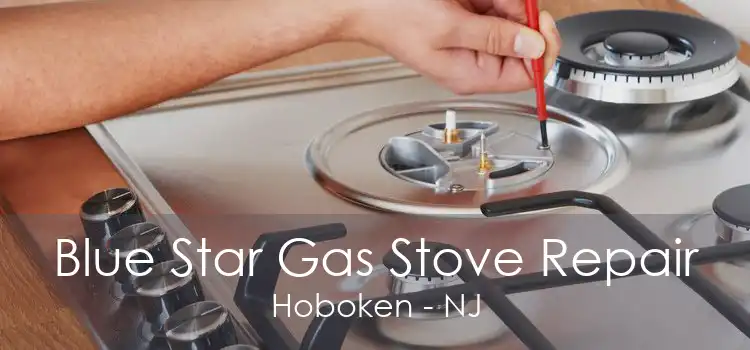 Blue Star Gas Stove Repair Hoboken - NJ