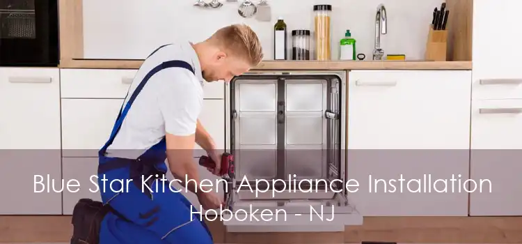 Blue Star Kitchen Appliance Installation Hoboken - NJ