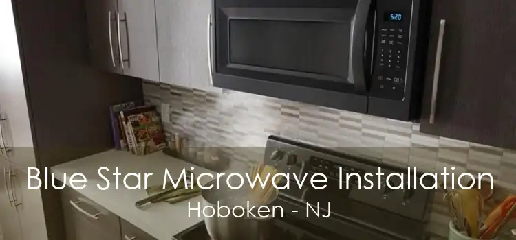 Blue Star Microwave Installation Hoboken - NJ