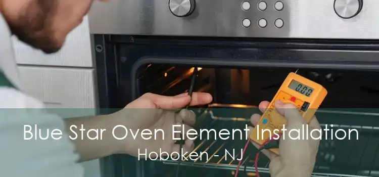 Blue Star Oven Element Installation Hoboken - NJ