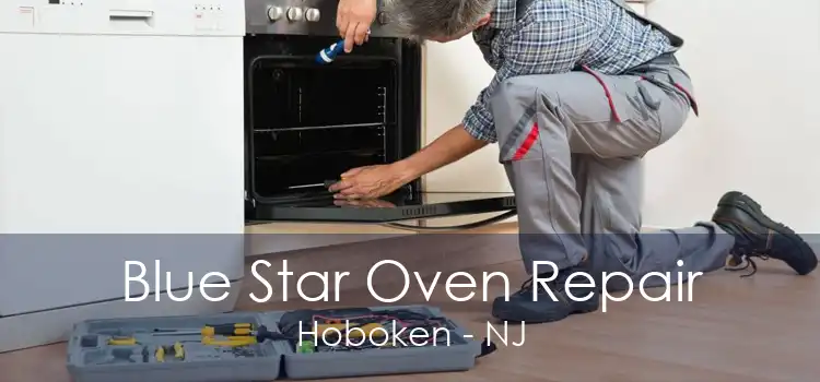 Blue Star Oven Repair Hoboken - NJ