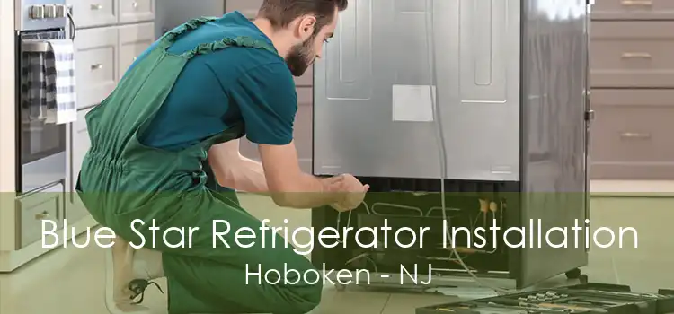 Blue Star Refrigerator Installation Hoboken - NJ