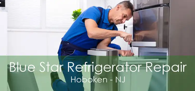 Blue Star Refrigerator Repair Hoboken - NJ